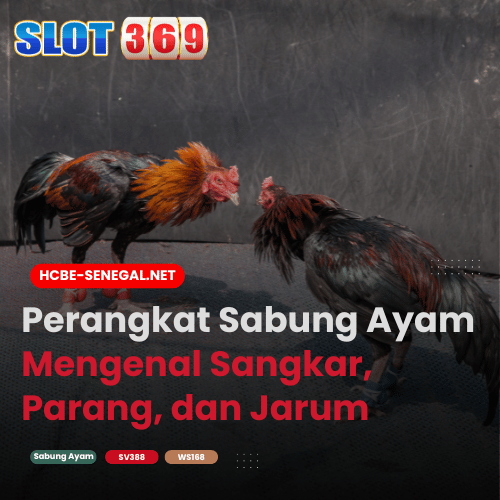 Perangkat Sabung Ayam Mengenal Sangkar, Parang, dan Jarum